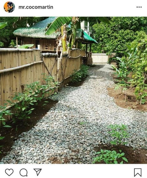 IN PHOTOS: Coco Martin with his mini-farm at home 