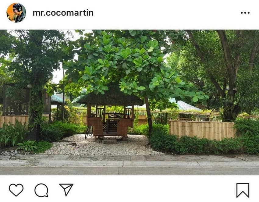 IN PHOTOS: Coco Martin with his mini-farm at home 