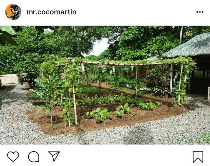 IN PHOTOS: Coco Martin with his mini-farm at home 