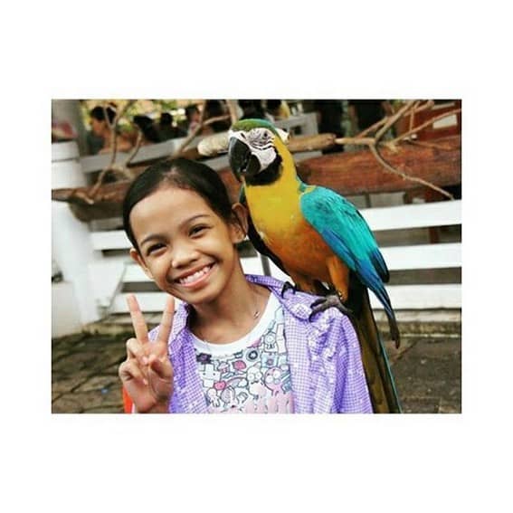 Zephanie Dimaranan before fame