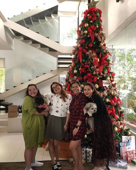 Teleserye stars who shine more as outstanding moms in real life