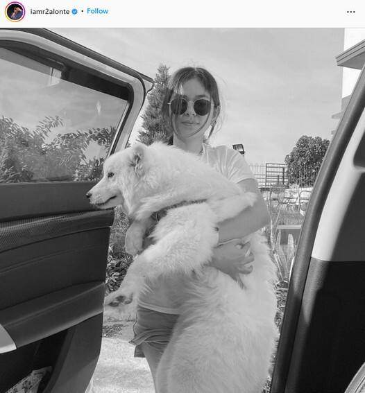 Celebrities who own pets