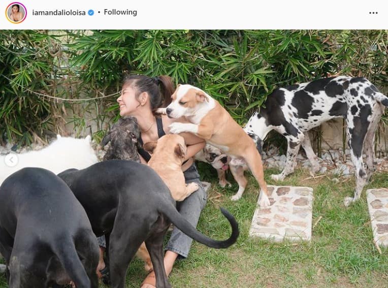 Celebrities who own pets