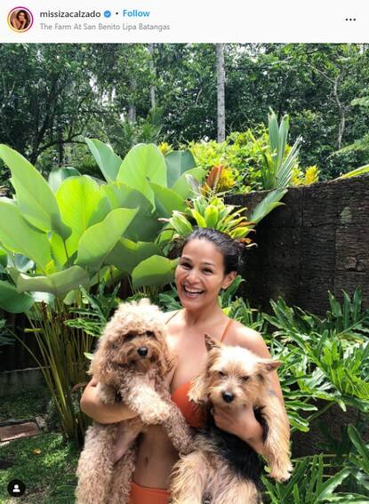 Celebrities who own pets