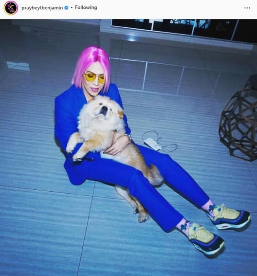 Celebrities who own pets