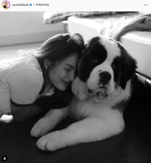 Celebrities who own pets