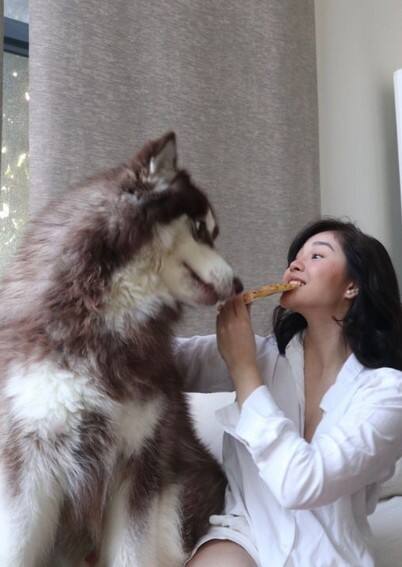 Celebrities who own pets