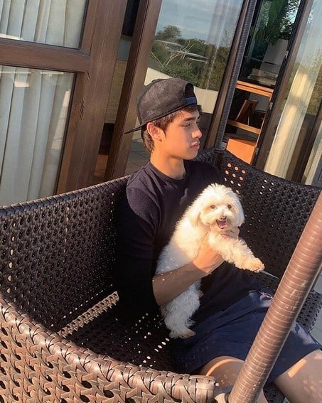 Celebrities who own pets