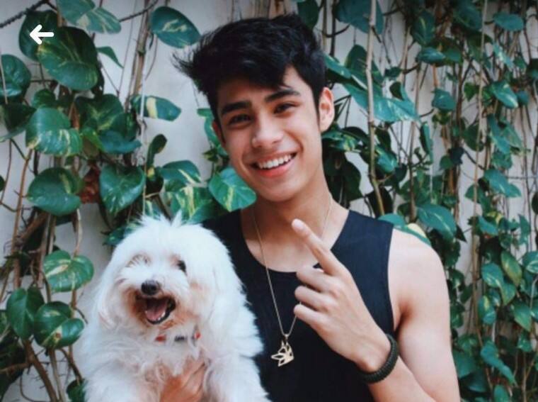 Celebrities who own pets