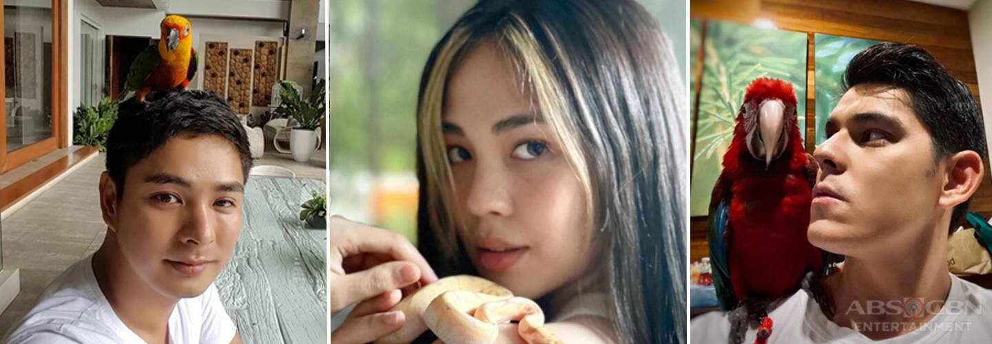 Celebrities with unique pets
