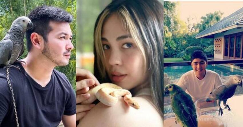 Celebrities who are proud owners of unique pets