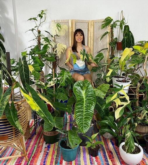 Aubrey Miles plants aroids philodendrons indoor outdoor garden
