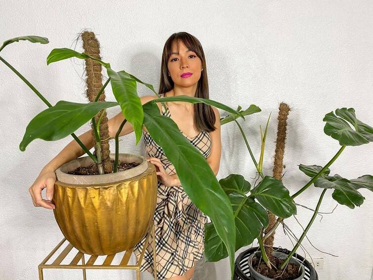 Aubrey Miles plants aroids philodendrons indoor outdoor garden