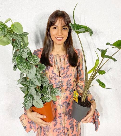 Aubrey Miles plants aroids philodendrons indoor outdoor garden