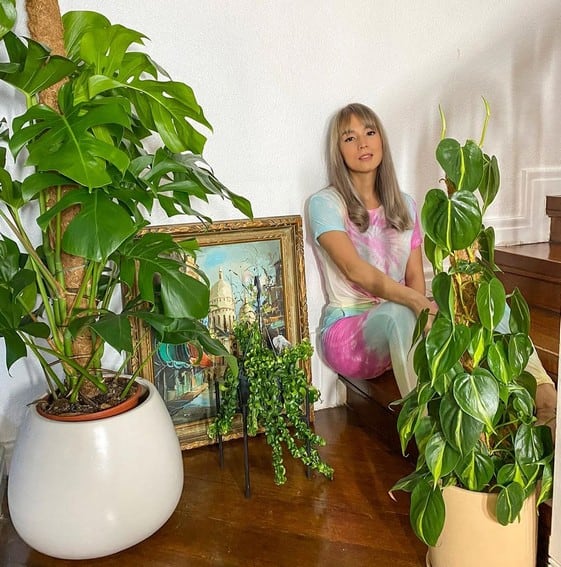 Aubrey Miles plants aroids philodendrons indoor outdoor garden