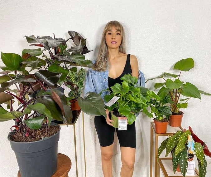 Aubrey Miles plants aroids philodendrons indoor outdoor garden