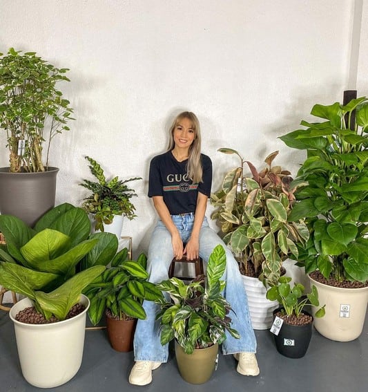 Aubrey Miles plants aroids philodendrons indoor outdoor garden