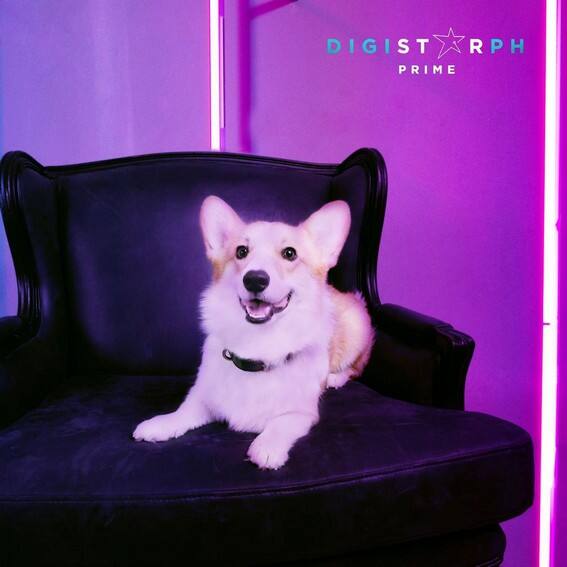 JAMES REID CUTE DOG CAL