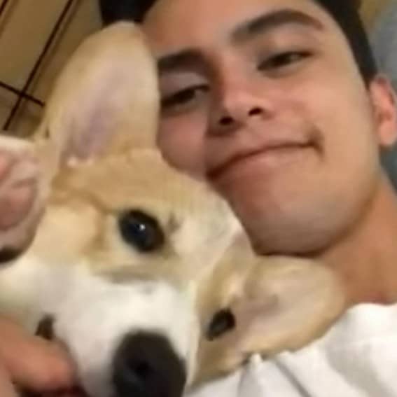 JAMES REID CUTE DOG CAL