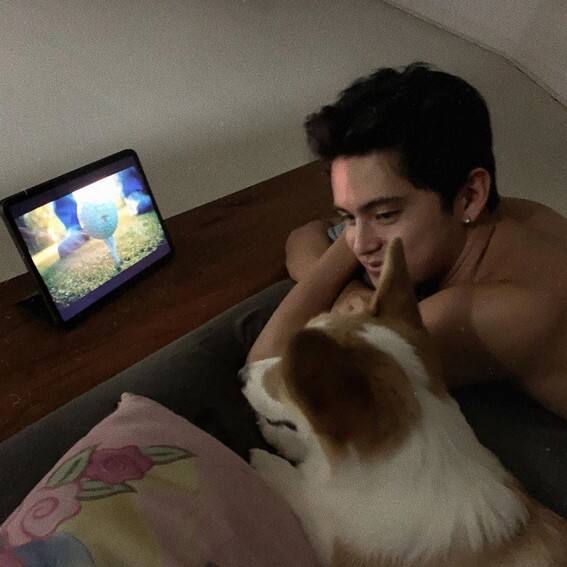 JAMES REID CUTE DOG CAL