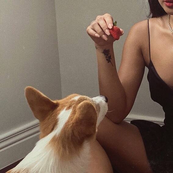 JAMES REID CUTE DOG CAL