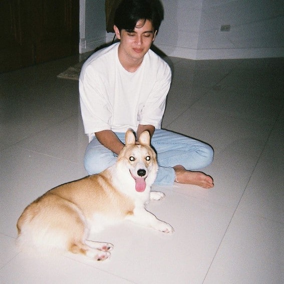 JAMES REID CUTE DOG CAL