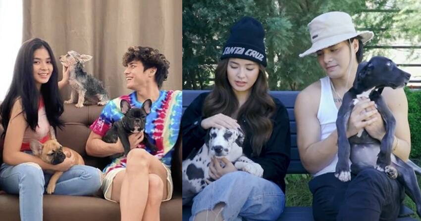 Loisa and Ronnie's furbabies