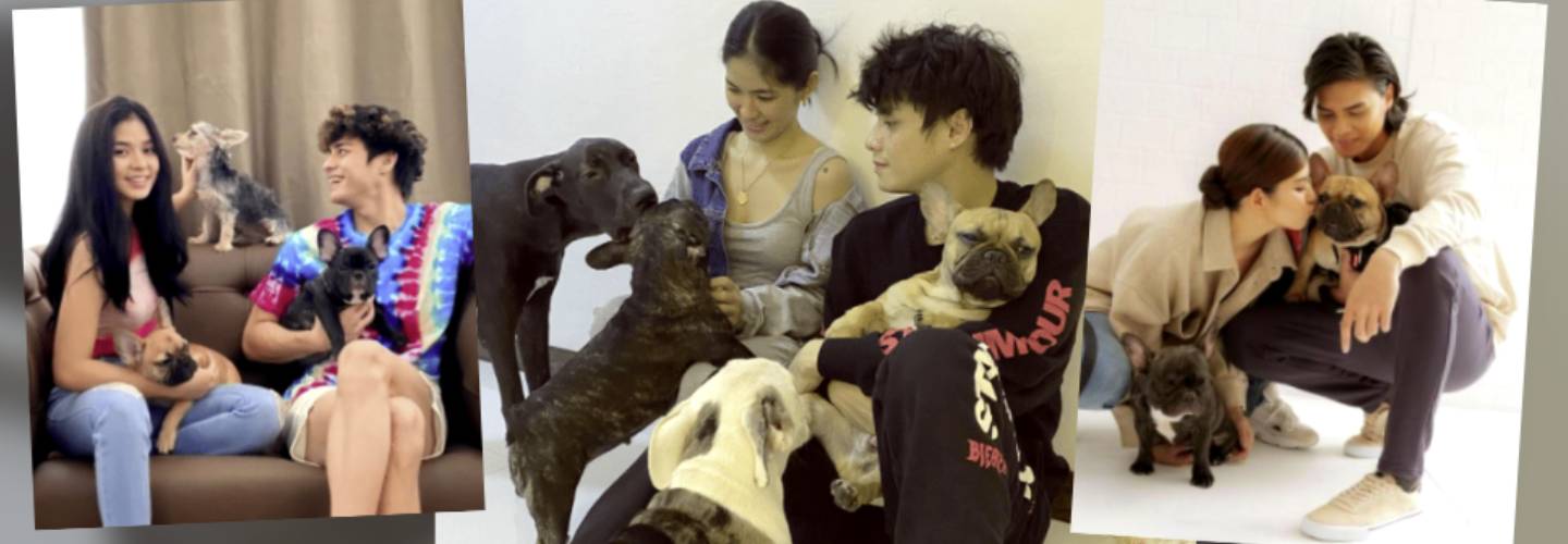 Meet LoiNie's furbabies