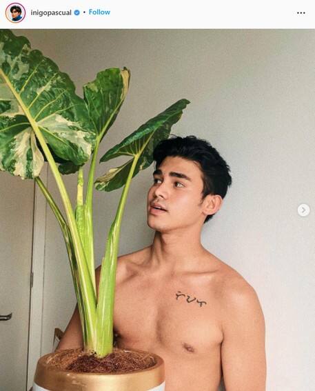 Check out the plant collection of Inigo Pascual