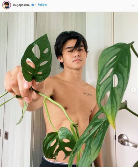 Check out the plant collection of Inigo Pascual