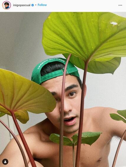 Check out the plant collection of Inigo Pascual
