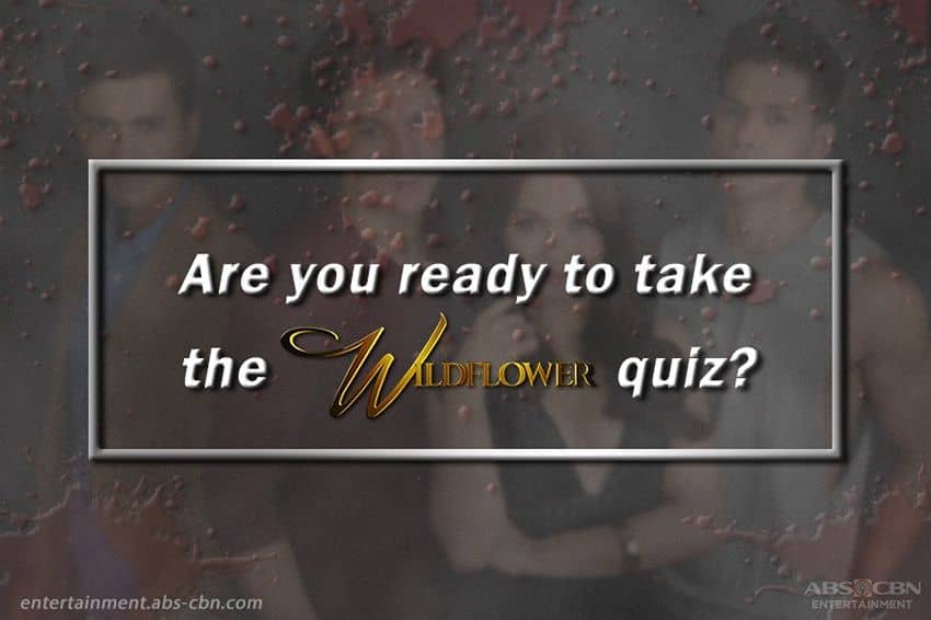 Wildest Wildflower Quiz