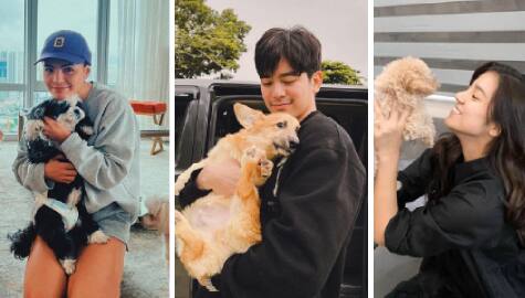 Lovely moments of celebrities with their adorable pets