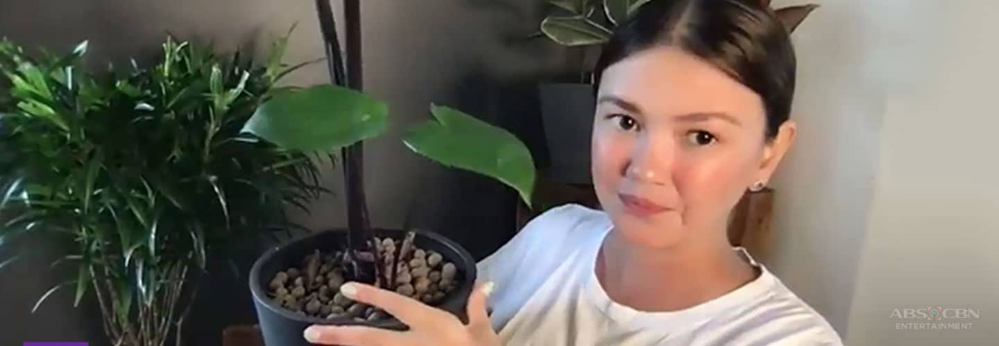 Angelica Panganiban shares her ‘plantita’ journey, techniques in plant parenting