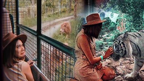 Umagang Kay Ganda: Bea Alonzo, bumisita sa Cebu safari Image Thumbnail
