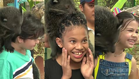 Magandang Buhay: Awra, Xia, Carlo at Jordan, tuwang-tuwa nang makita ang Bearcat Image Thumbnail
