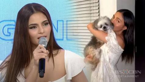 Magandang Buhay: Lovi about her dogs: “Family talaga sila” Image Thumbnail